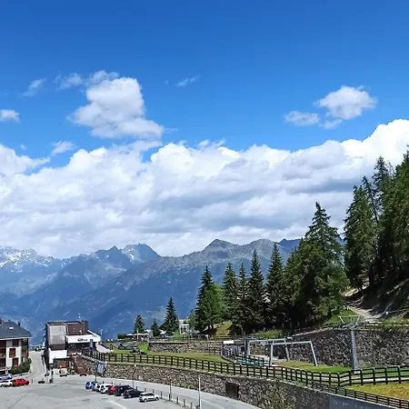 Cuckoo * Pila (Valle d'Aosta)