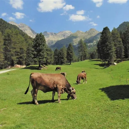 Cuckoo Pila (Valle d'Aosta)